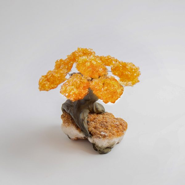 Medium - Genuine Citrine Clustered Gemstone Tree on Citrine Matrix (The Calming Tree) Supply